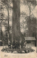 FRANCE - Forêt De Fontainebleau - Le Jupiter - Colorisé - Carte Postale Ancienne - Fontainebleau