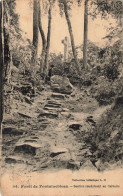 FRANCE - Forêt De Fontainebleau - Sentier Conduisant Au Calvaire - Carte Postale Ancienne - Fontainebleau