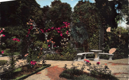 FRANCE - Roseraie De L'Hay Les Roses - Un Coin De Méditation - Colorisé - Carte Postale Ancienne - L'Hay Les Roses