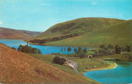 Scotland St Mary's Loch Selkirkshire Picturesque Natural Landscape - Selkirkshire