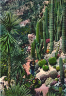 GARDEN, EXOTIC PLANTS, CACTUS, MONACO - Exotischer Garten