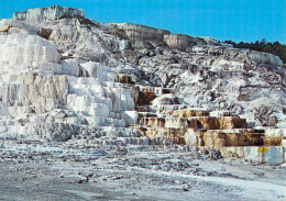 United States Yellowstone National Park Minerva Terrace 1990 - Yellowstone