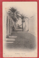 Algérie - Ouargla - Une Rue (Geiser N°12) - Ouargla