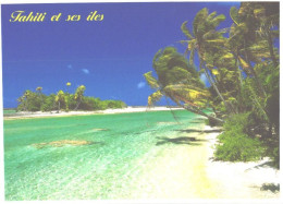 A Dream Beach Typical Of Tahiti And Its Islands - French Polynesia