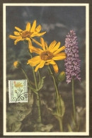 BELGIQUE Carte Maximum - Arnica Des Fagnes - Altri & Non Classificati