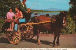 Irlande - Kerry  -  Irish Jaunting Car - Limerick