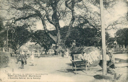 MARTINIQUE  FORT DE FRANCE  L'énorme Sablier De La Savane - Fort De France