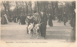 Paris Vécu * Aux Champs élysées , La Voiture Aux Chèvres * Attelage Chèvre - Autres & Non Classés