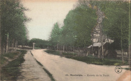 Montargis * Route Et Entrée De La Forêt - Montargis