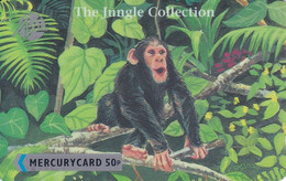 MER 97 TARJETA DE MERCURY DE JUNGLE - CHIMPANZEE - 18MERD (CHIMPANCE-MONKEY) - Mercury Communications & Paytelco