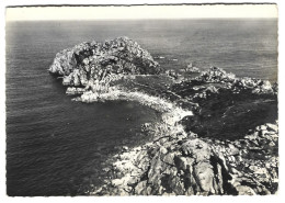 29  La Pointe De Primel Tregastel   - En Avion Au Dessus De - Primel