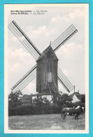 * Sint Martens Latem - Laethem Saint Martin * (Uitgever A.V.C.) De Molen, Le Moulin, Mill, Muhle, Vache, Koe, Cow, TOP - Sint-Martens-Latem