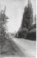 59. JEUMONT. RUE DE SOLRE LE CHÂTEAU. 1950. - Jeumont