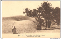 POSTAL  59.- SAHARA  - AFRICA  - MISSIONS DES PERES BLANCS  -PALMERALE ENVAHIE PAR LES DUNES - Sahara Occidentale