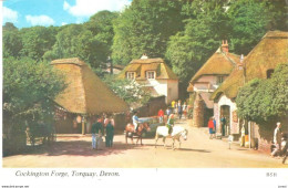 POSTAL   TORQUAY -DEVON- INGLATERRA  -COCKINGTON FORGE - Torquay