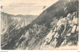 POSTAL  -LES PYRÉNÉES ORIENTALES  -FRANCIA  - LE CANIGOU-ENTRÉE DE LA FORÉT DE BALATG - Roussillon