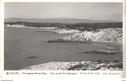 POSTAL     SALOU  -TARRAGONA  - UN ASPECTO DE LAS CALAS  (UNE VUE DE LES CALANQUES - A VIEN OF THE COVES)  (FOTO RAYMOND - Tarragona