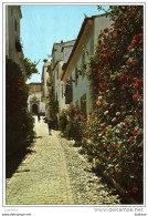 ABRANTES - Rua Florida - Portugal - Santarem