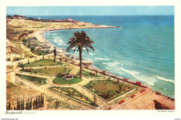 POSTAL   TARRAGONA 11 -CATALUNYA  -PLAYA DEL MILAGRO DESDE EL BALCON DEL MEDITERRANEO - Tarragona