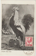 Carte-Maximum ALGERIE N° Yvert 218 (COQ) Obl Sp 1er Jour - Maximumkarten