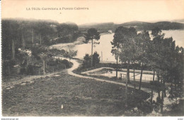 POSTAL   LA TOJA -PONTEVEDRA -GALICIA -CARRETERA A PUENTE CABREIRA - Andere & Zonder Classificatie