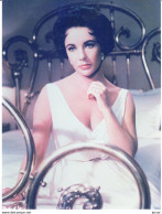 FOTOGRAFIA   DE LA ACTRIZ   LIZ TAYLOR      (FOTO 15 X 20) - Photos