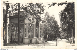 POSTAL   CASTELLON  -ESPAÑA  - PASEO DEL OBELISCO - Castellón