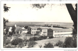 POSTAL   82.-  HUELVA  -ESPAÑA  -  CASA EJERCICIOS Y SANTUARIO NUESTRA SEÑORA DE LA CINTA  ( EDIC. ARRIBA ) - Huelva