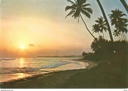 POSTAL   SRI LANKA  -ASIA  -TROPICAL SUNSET - Sri Lanka (Ceylon)