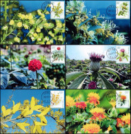 China Maximum Card,2023-20T "Medicinal Plants (III)",6 pcs - Cartes-maximum