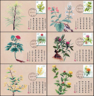 China Maximum Card,2023-20T "Medicinal Plants (III)",6 pcs - Cartes-maximum