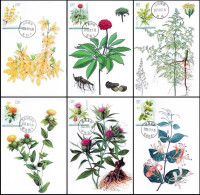 China Maximum Card,2023-20T "Medicinal Plants (III)",6 pcs - Tarjetas – Máxima