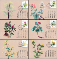 China Maximum Card,2023-20T "Medicinal Plants (III)",6 pcs - Cartoline Maximum