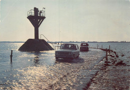 PIE-LO-HUI-23-5282 : NOIRMOUTIER. LE GOIS. AUTOMOBILES - Noirmoutier