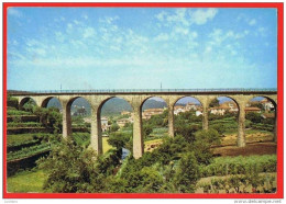 Vouzela - Viaduto Do Caminho De Ferro Chemin De Fer - Loty ( 2 Scans ) Portugal - Viseu