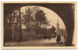 Beauraing - L'Entrée Du Parc L'Arbre Des Apparitions Et Le Pont Du Chemin De Fer - Beauraing