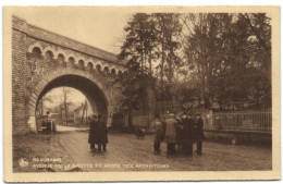 Beauraing - Avenue De La Grotte Et Abre Des Apparitions - Beauraing