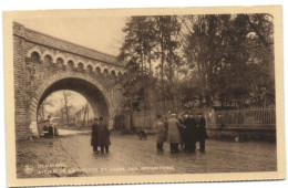 Beauraing - Avenue De La Grotte Et Arbre Des Apparitions - Beauraing