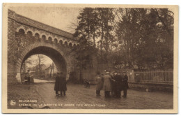 Beauraing - Avenue De La Grotte Et Arbre Des Apparitions - Beauraing