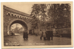 Beauraing - Avenue De La Grotte Et Arbre Des Apparitions - Beauraing