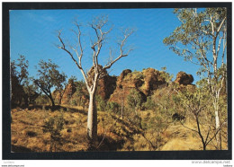 AUSTRALIA - Kimberley Scene In The N.W. - Advertising Hotel Kununurra - Otros & Sin Clasificación