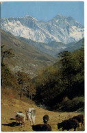 Népal - Nu-Tse - Mt. Everest - Lho-Tse - Nepal