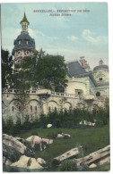 Bruxelles Exposiiton De 1910 - Jardins Suisses - Expositions Universelles