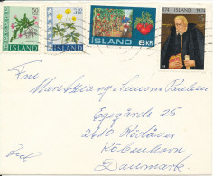 Iceland Cover Sent To Denmark 1975 ?? Topic Stamps - Storia Postale