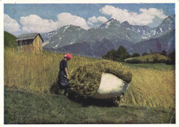 SERFAUS, LANDECK, CARRING HAY, MOUNTAIN, AUSTRIA - Landeck