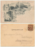 Hungary Now Romania Carpathian Mountains Bullea Chalet Postcard Transported By Local Courier In 1900 - Emissions Locales