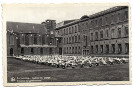 La Louvière - Institut St. Joseph - Excercice De Gymnastique - La Louvière