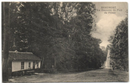 Beaumont - La Descente Du Pont Du Prince - Beaumont