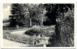 Erezée - Hostellerie La Noiseraie - Un Coin Du Jardin - Erezee