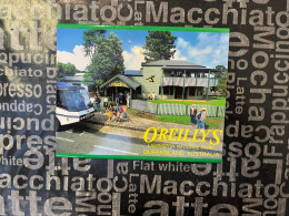 (Folder 145) Australia - QLD - O'Reilly's (bird) - Atherton Tablelands